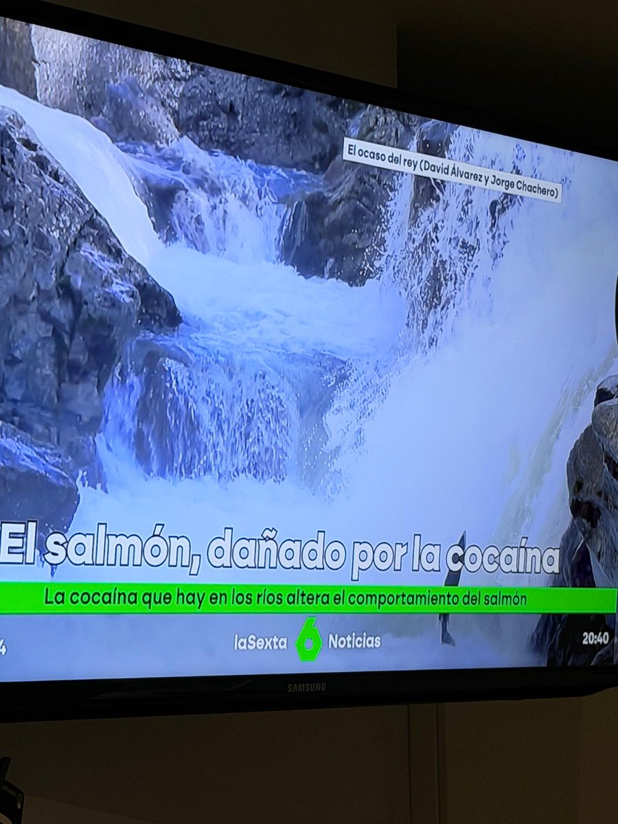 Este es el resumen del mundo en el que vivimos