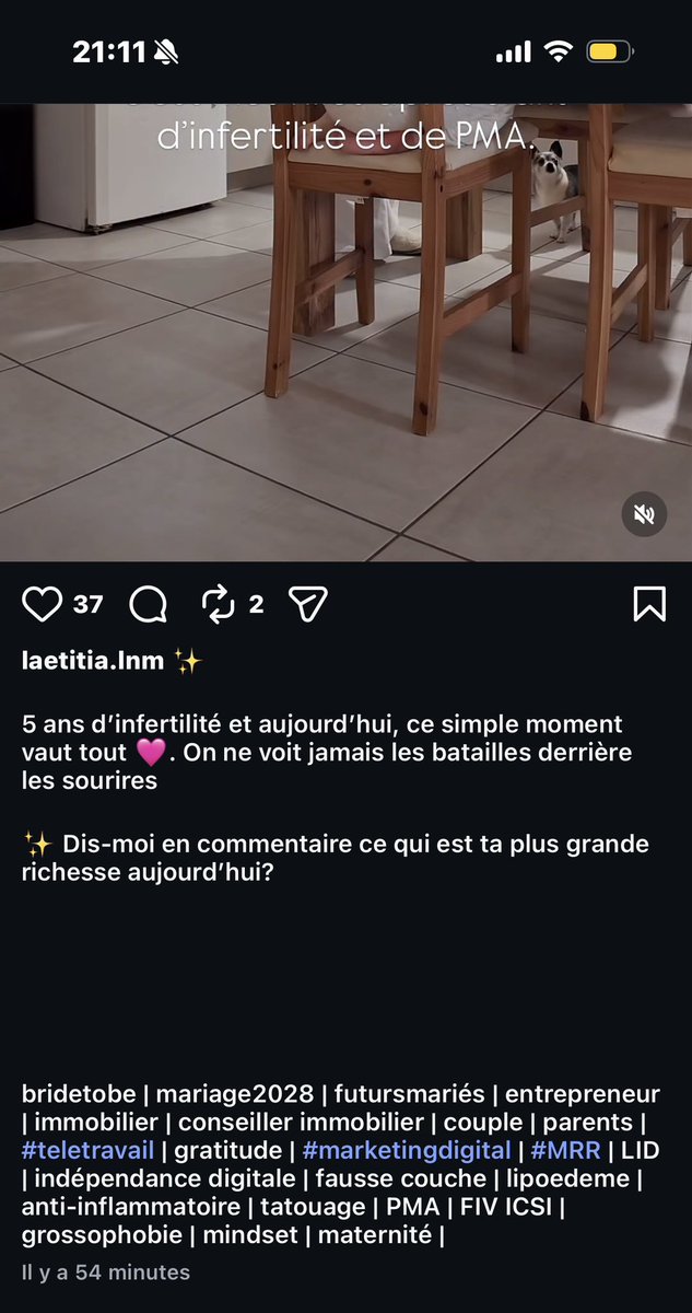 LS tweet media