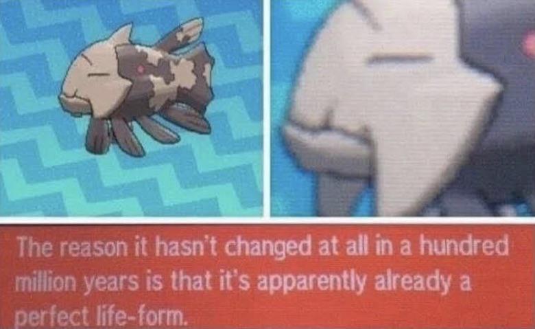 ElectrikevN's tweet photo. @sham_exe Every day, this image is proven right https://t.co/0tvai04ALE
