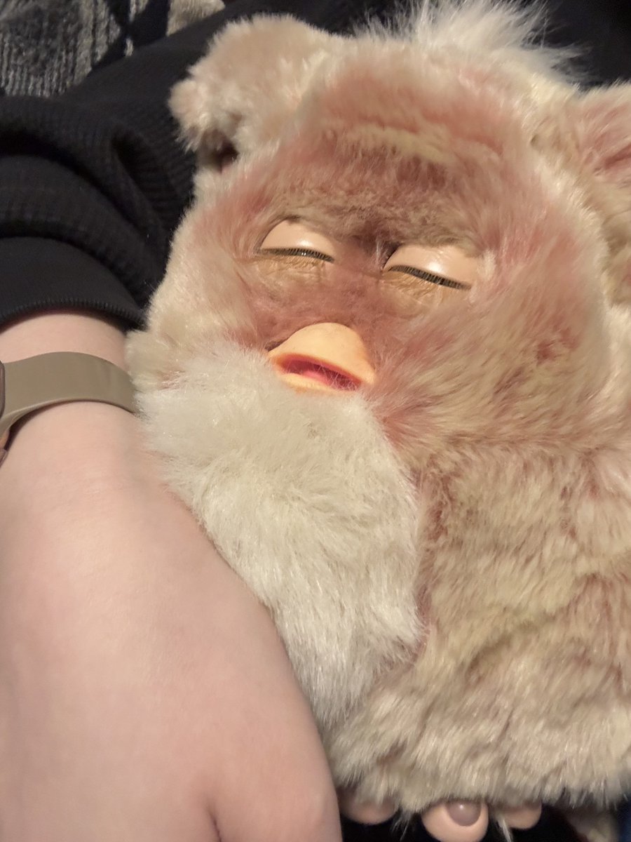 たぬきゅん tweet media