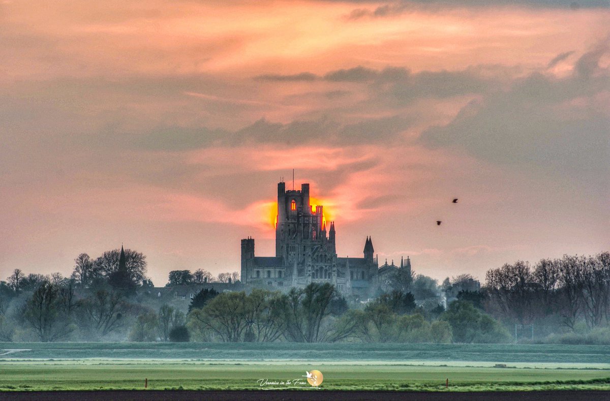 VeronicaJoPo's tweet image. A stunning sunset over Ely Cathedral taken across The Fens three years ago. 
Ely, Cambridgeshire 
#Sunset #ElyCathedral #TheFens #landscapephotography