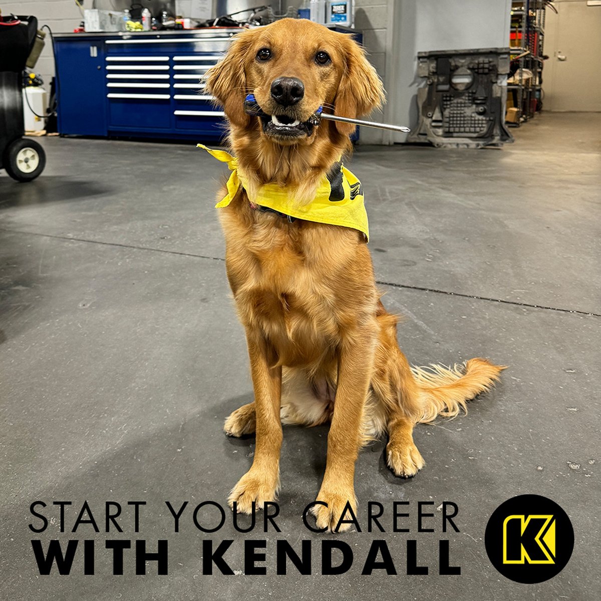 KendallAuto's tweet photo. Ready to take the next step in your career? Join the team at Kendall Auto Group and discover opportunities across sales, service, marketing, administration, and more. 
LEARN MORE  » https://t.co/5UbrsW8wsU #kendallauto https://t.co/a0X6pLGTM6