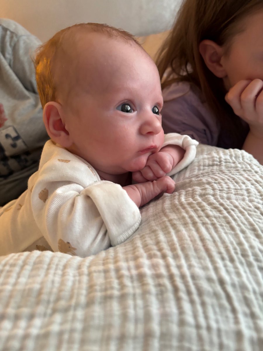 Dustin Ardine tweet media