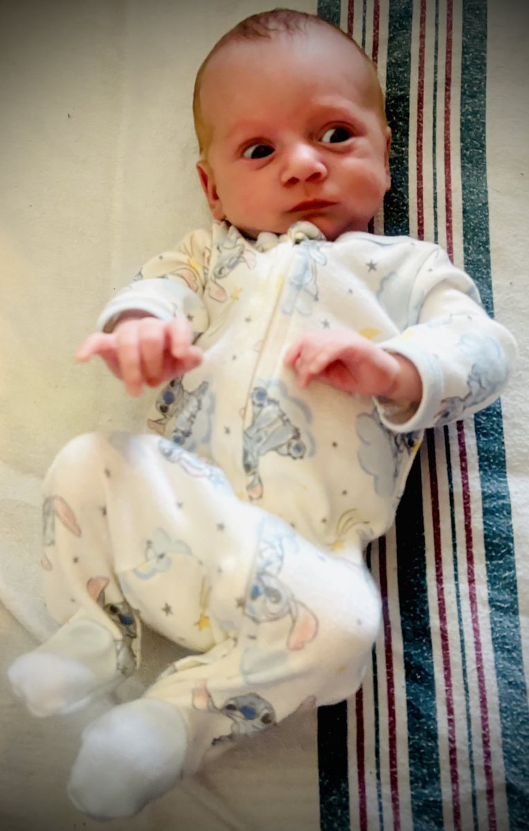 Dustin Ardine tweet media