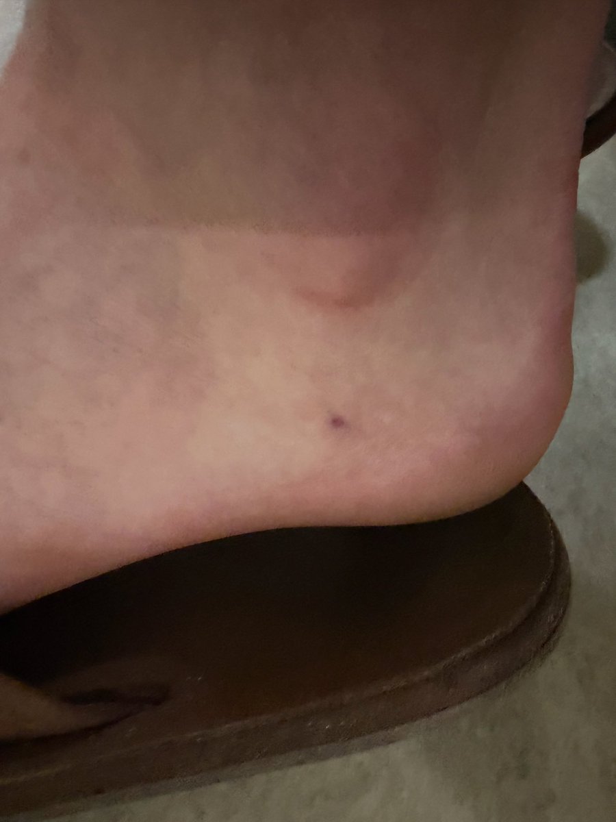 z - Jarv tweet media