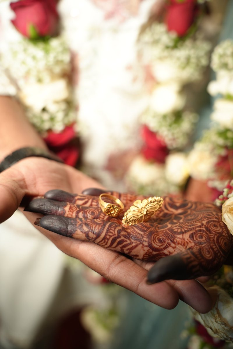 ᴀʟɪsʜᴀ// logged out tweet media