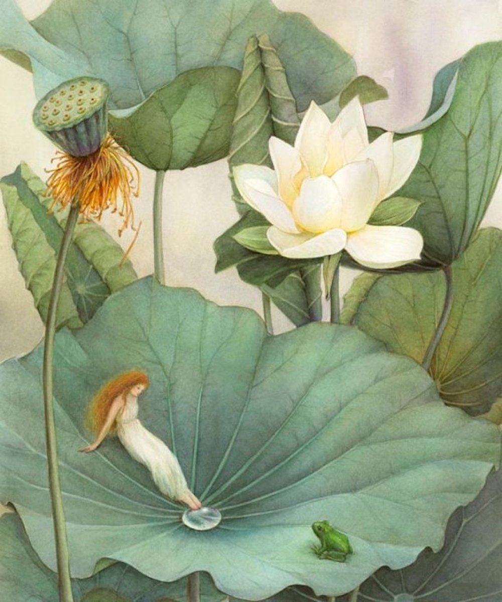 flamencobug's tweet image. "...she was the loveliest little girl you can imagine, and as frail and fine as the petal of a rose."
'Thumbelina' by Hans Christian Andersen
#book #illustration by Asako Eguchi (b.1952, Japanese) #FairyTaleTuesday
#FairyTaleFlash