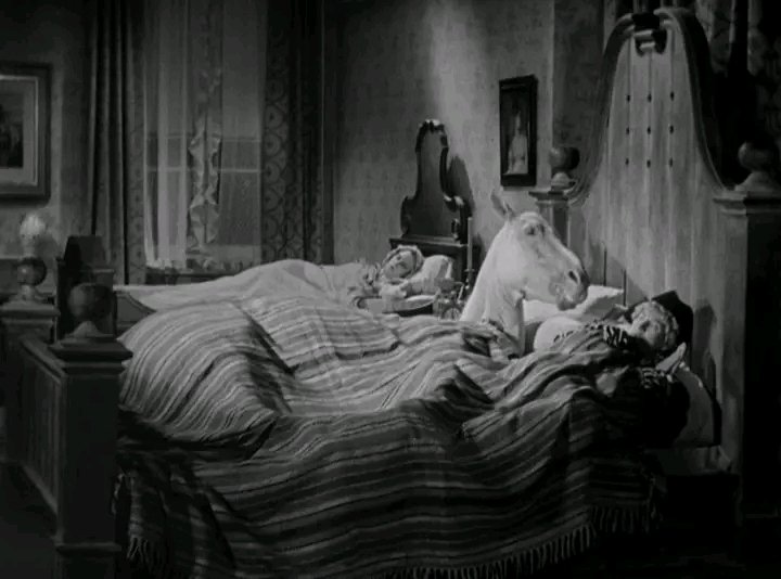 𝐉𝐨𝐡𝐧 𝐏𝐫𝐞𝐭𝐨𝐫𝐢𝐮𝐬 - 𝐀𝐮𝐭𝐡𝐨𝐫 🇿🇦 📖 tweet media