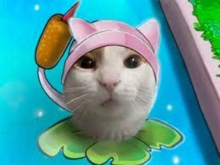 Punch Cat tweet media