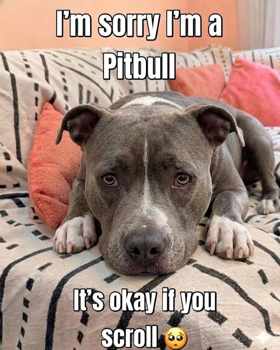 Mahik Rani tweet media