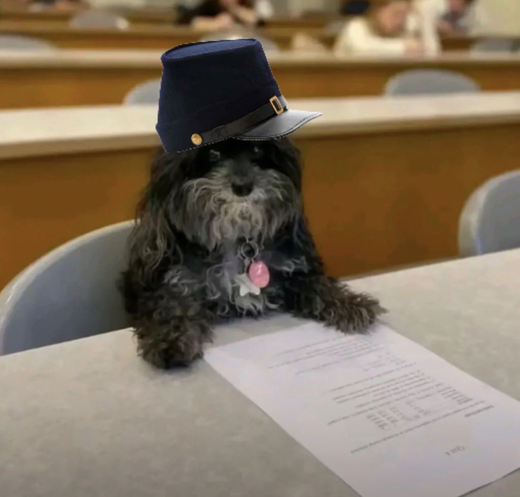 Statement Dog tweet media