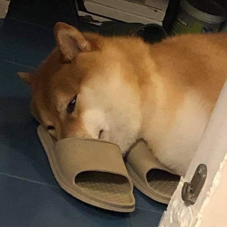 chxrryy☆ tweet media