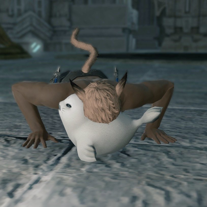 ディアム tweet media