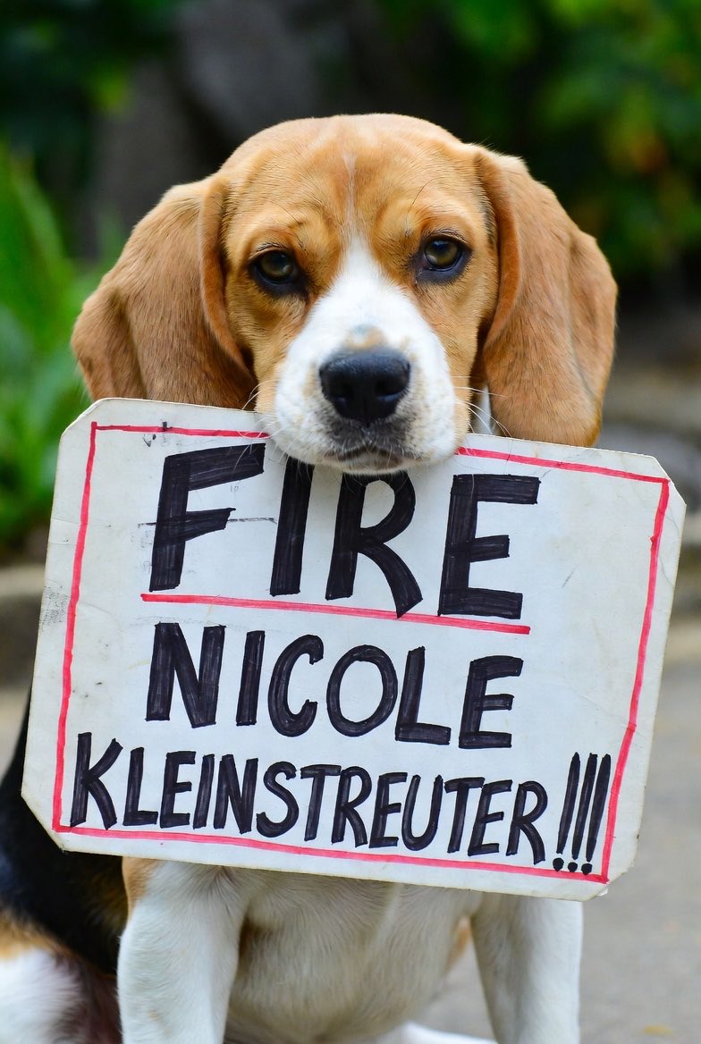 <a href="/WhiteCoatWaste/">White Coat Waste</a> This is so INCREDIBLY DISTURBING!!!! Thank you WCW for exposing where our tax pay dollars are going…

You are all so incredibly disappointing, pathetic and shameful!!! I’m sorry I ever supported you… 
<a href="/SecKennedy/">Secretary Kennedy</a> <a href="/NIH/">NIH</a> <a href="/DrJBhattacharya/">Jay Bhattacharya</a> 

<a href="/LaraLeaTrump/">Lara Trump</a> maybe your father in law