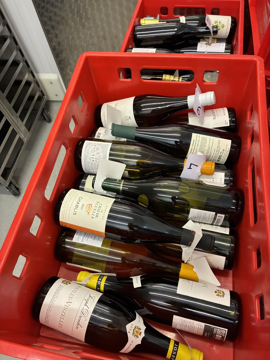 マインツ親分🇩🇪 tweet media