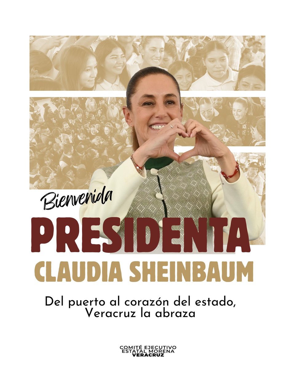 Comité Ejecutivo Estatal morena Veracruz tweet media