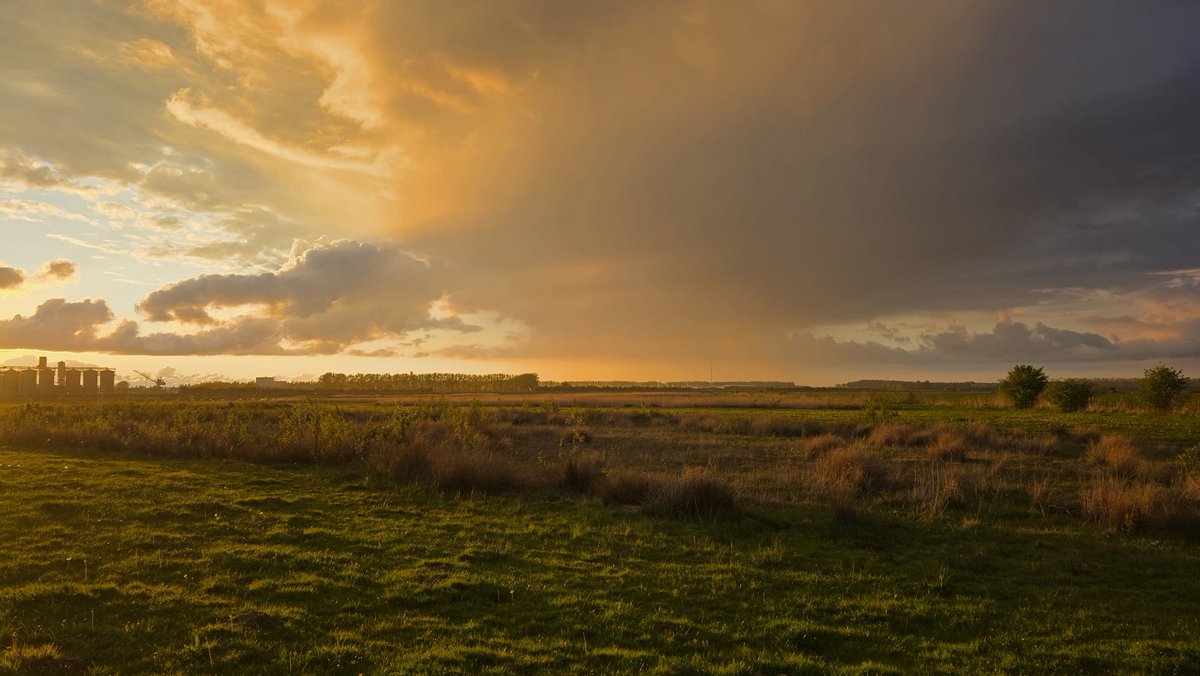 ☆𝓓𝓸𝓷~𝓟𝓮𝓭𝓻𝓸☆ tweet media