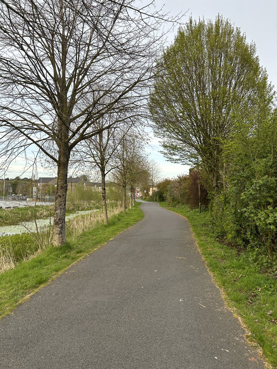 MacGiollaBhainM's tweet image. Day 111 #100daysofwalking #200daysofwalking #365daysofwalking  Tuesday morning and evening walks