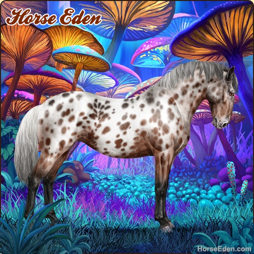HorseEdenGame's tweet image. Today's featured Game Horse! Breed your dream horse! Play for free today!
#horse #horses #horsegame #horseeden #animals #simgame #petsim #petgame #animalgame #fantasy #horseart #appaloosa #knabstrupper #dressage #showjumping #eventing #art #game