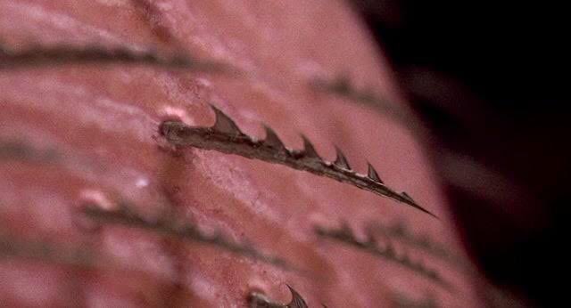 𝒜𝒹𝓇𝒾𝓀🍓 tweet media