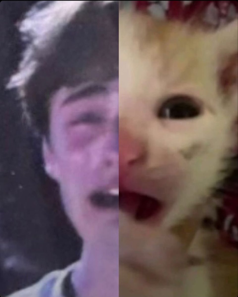 MaxnCasie tweet media