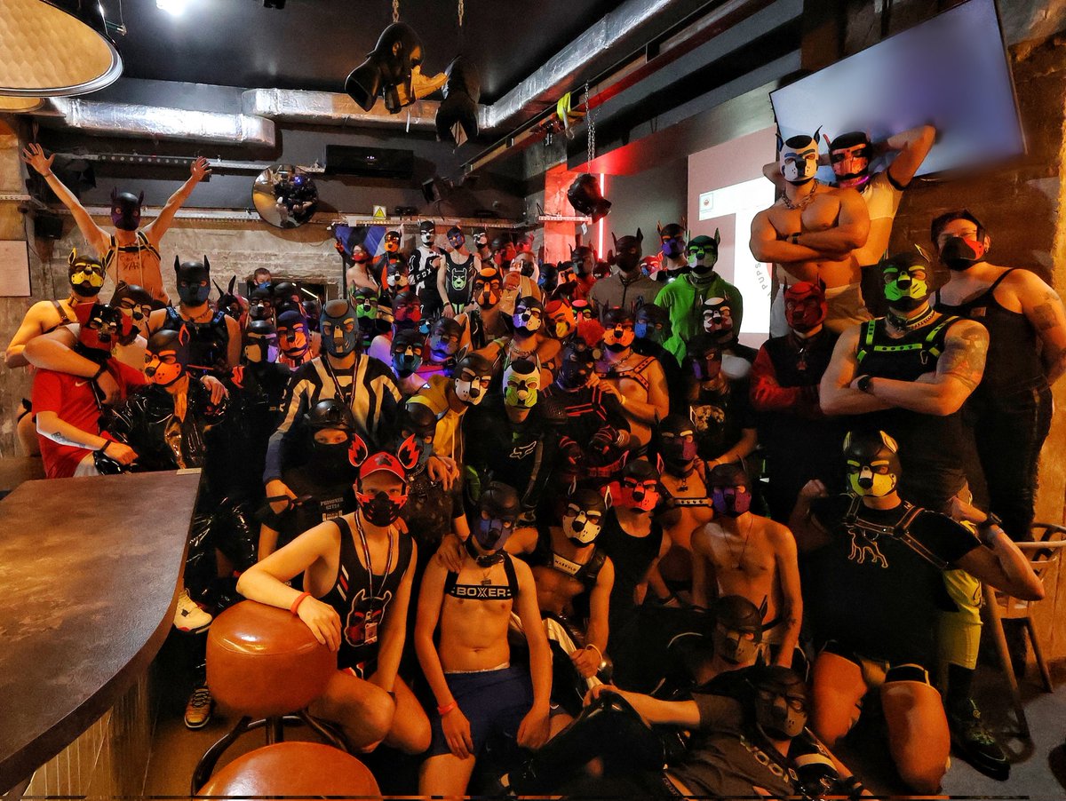 Polish Pups tweet media