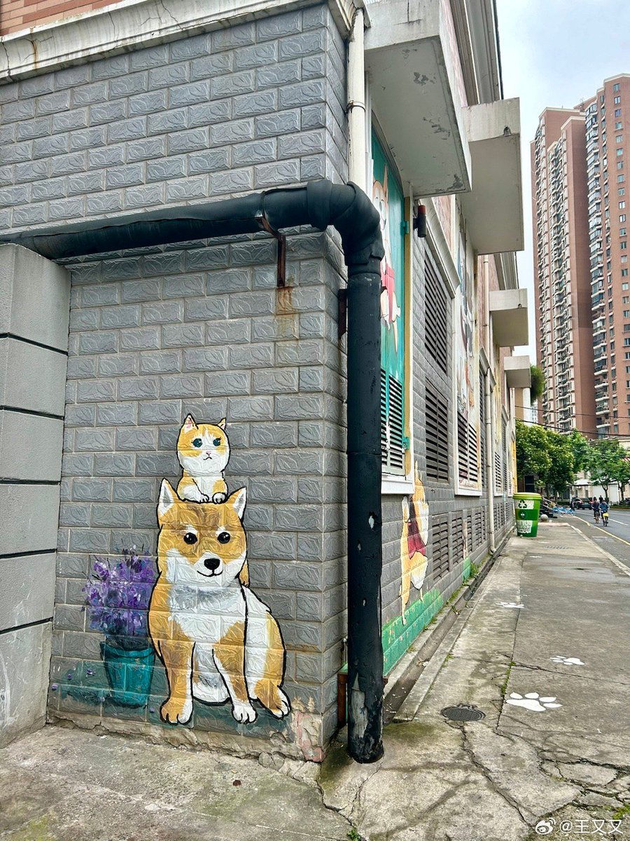 Christian Duran tweet media