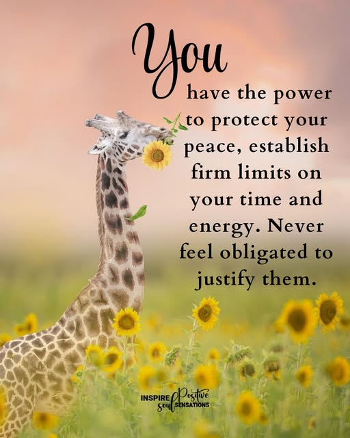 HolisticTips4U's tweet image. Honoring YOUR boundaries conveys to others to honor them, too. 😎 #SelfCareMatters