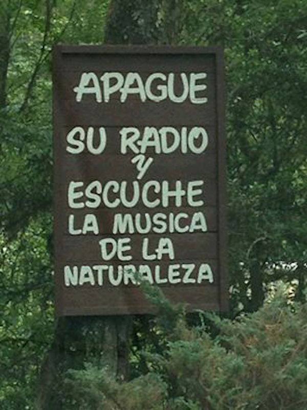 🌿 ¡Desconecta del ruido y reconecta con lo esencial! 🎶