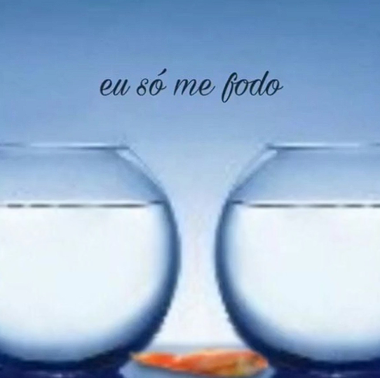 Noti tweet media