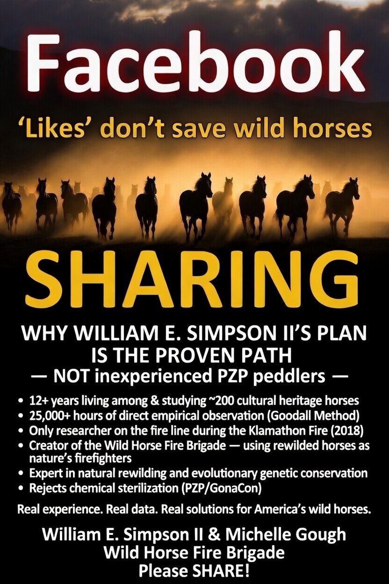 DSnovel's tweet image. I hate promoting my own resume, but if I don't who will?  The PZP Sterilization Cult?  I don't think so... SHARE...  
DOI Sec. Doug Burgum has heard from Sec. Robert Kennedy Jr. about my resume too! #wildhorses  #BLM @DougBurgum @RFKJr_Official  @RobertKennedyJr