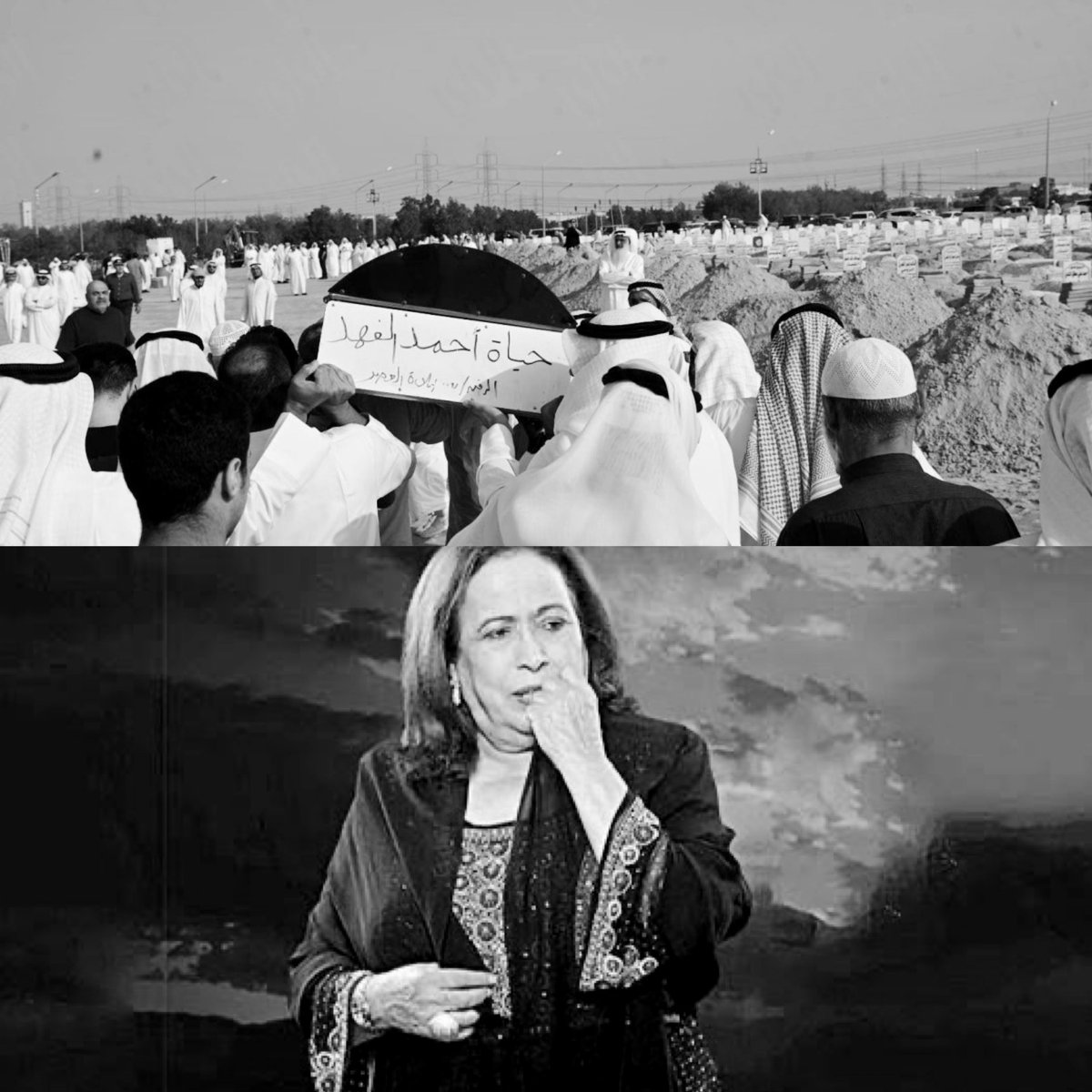 أخبار السعودية tweet media