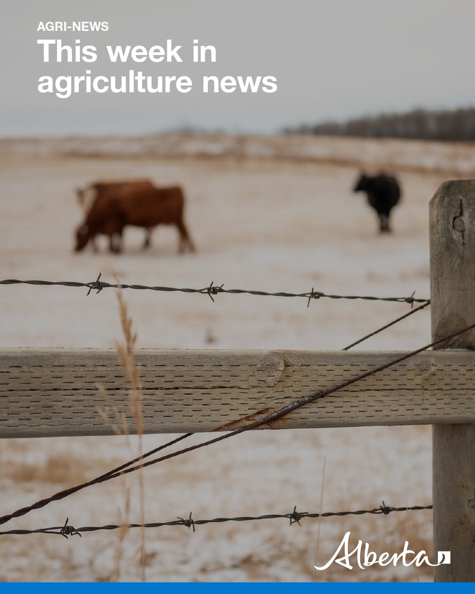 AlbertaAg's tweet image. This week in Agri-News:

📋 AFSC deadlines
🔥 Risk Management Resource Bundle
🐛 Scout for cutworms early
🐜 Insect factsheets
🧮 Gross Margins Calculator
💰 FCC AgriSpirit Fund
📆 Markets, events and more!

Read more: secure.campaigner.com/CSB/Public/arc…

#abag