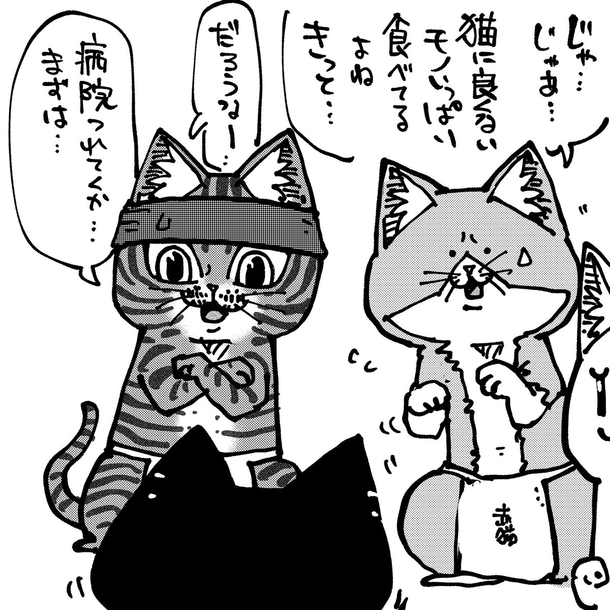 アンギャマン tweet media