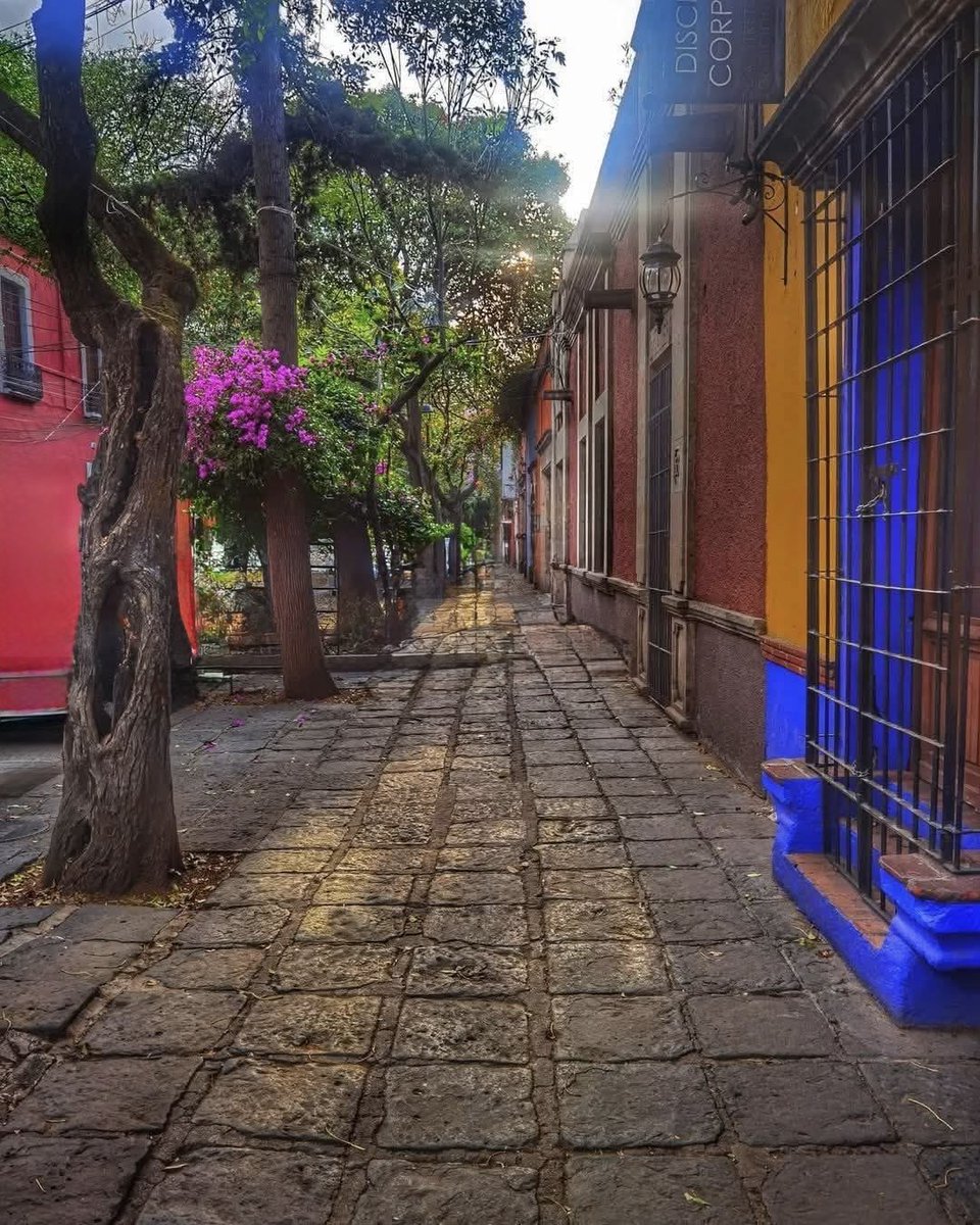 Coyoacán.