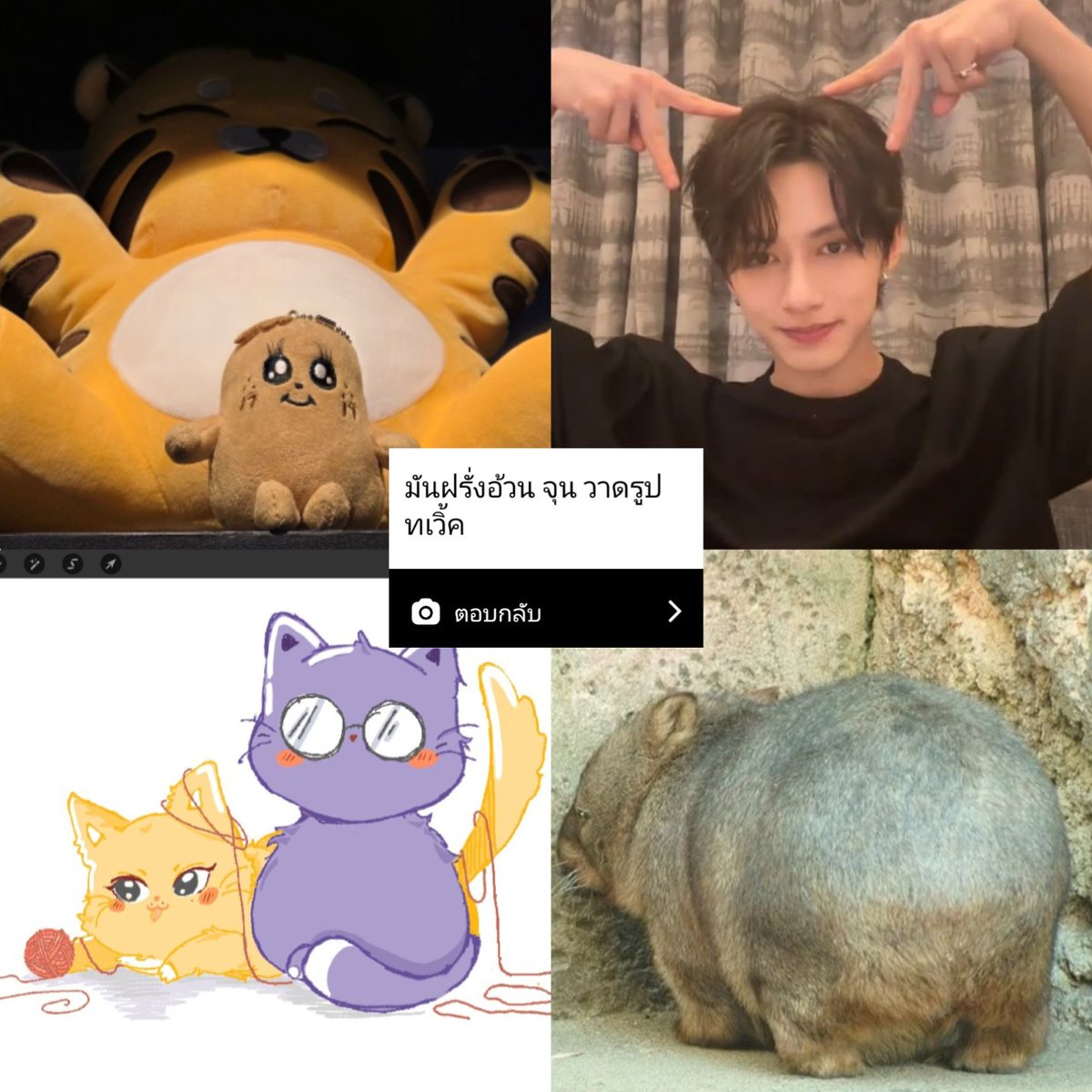 ✨พ ร า ว🍋 tweet media