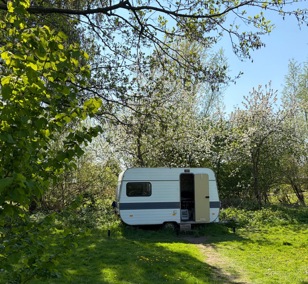 DaklozenNieuws(Rafaël)🟥 tweet media