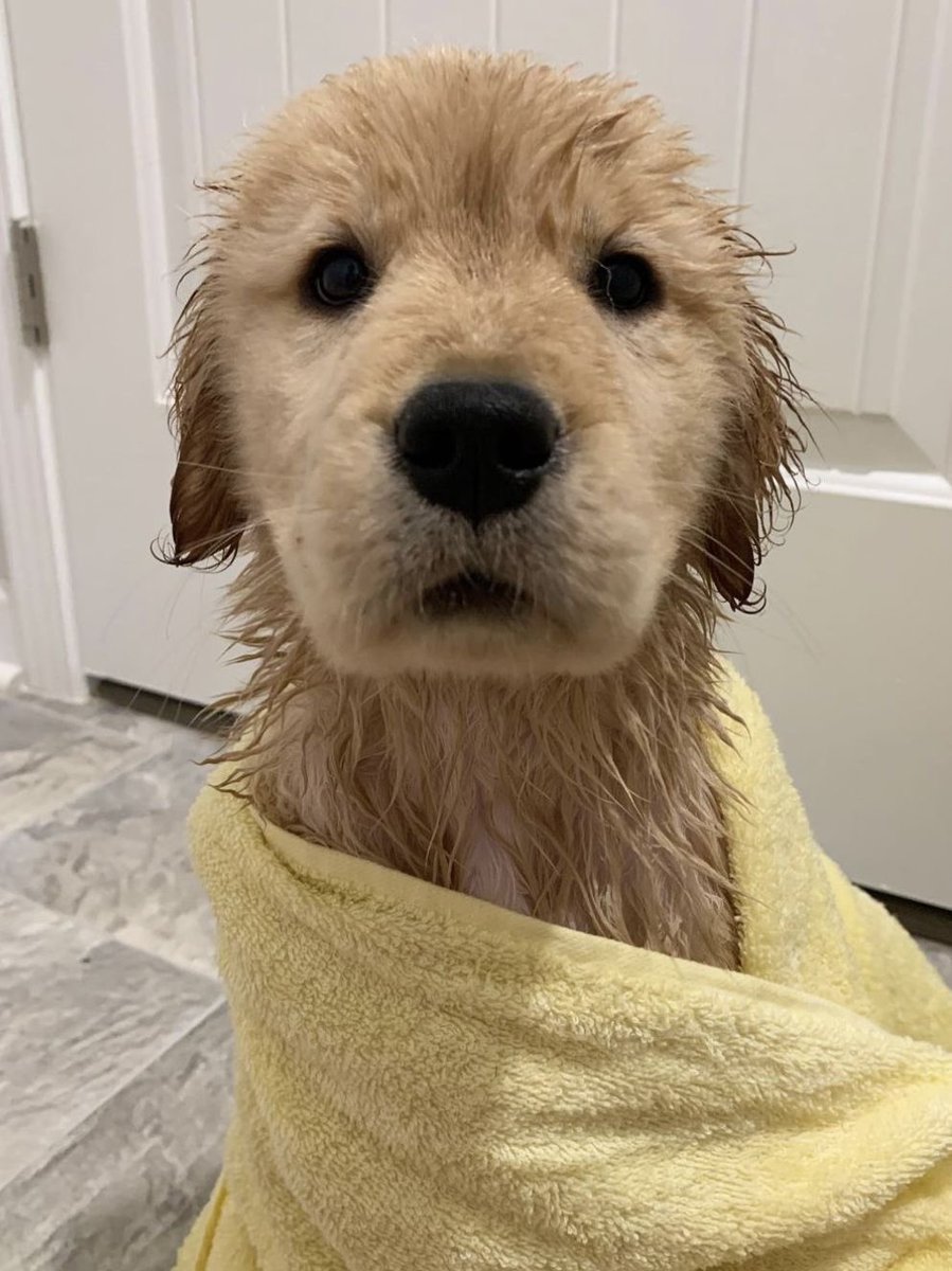 𝘨𝘦𝘦𝘸𝘢𝘺 🍎⊹˚₊ tweet media