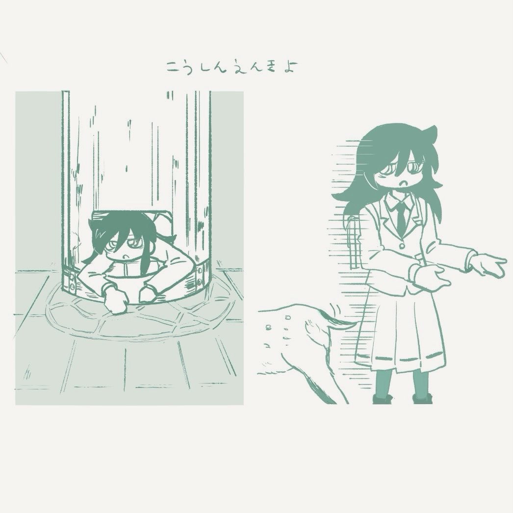 蒼足鷸 tweet media