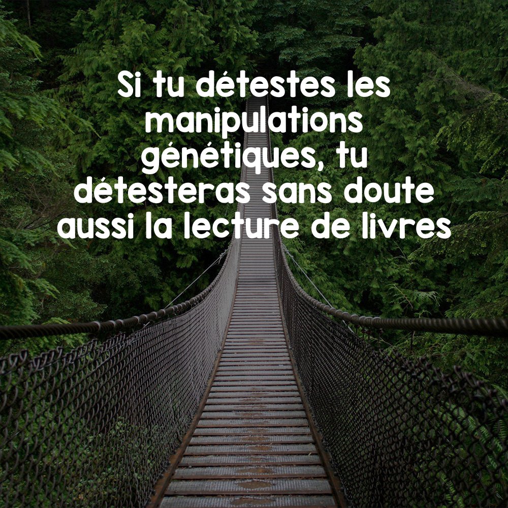 Proverbot 🌚 (@theproverbot) on Twitter photo 