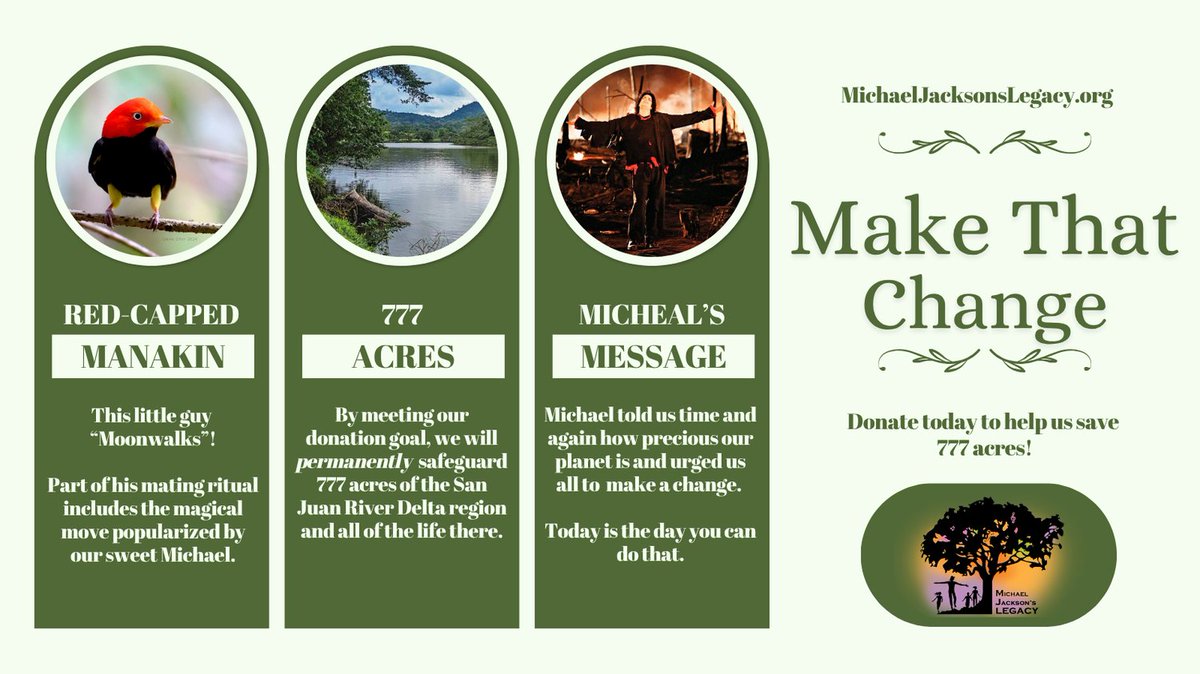 Michael Jackson's Legacy tweet media