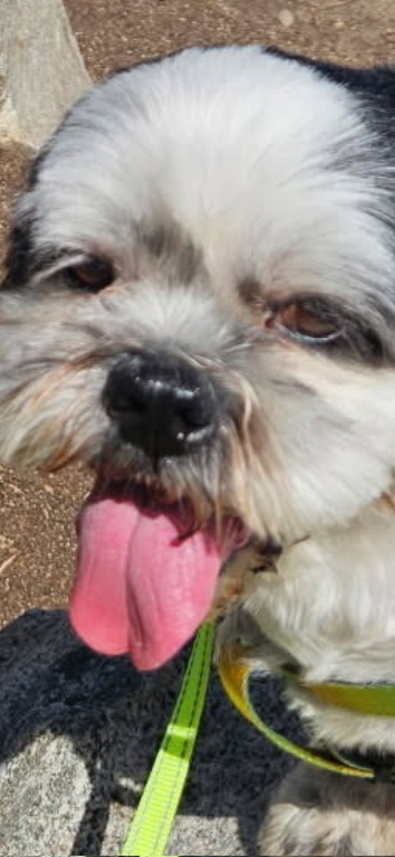 hope this #TOT finds you well 💌👅💋 #TongueOutTuesday #KissyKissy