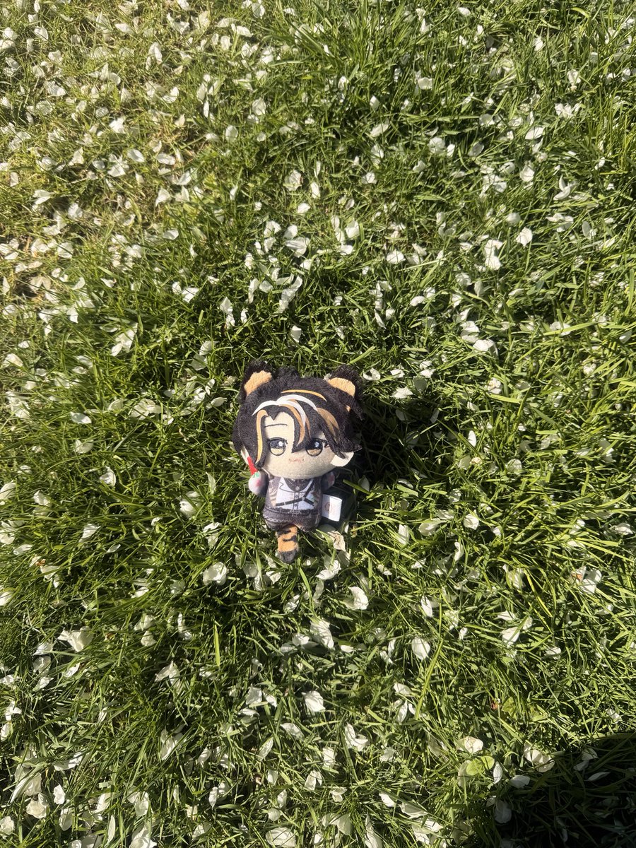 Kiyo 🐯💭 First Stream Mid June tweet media