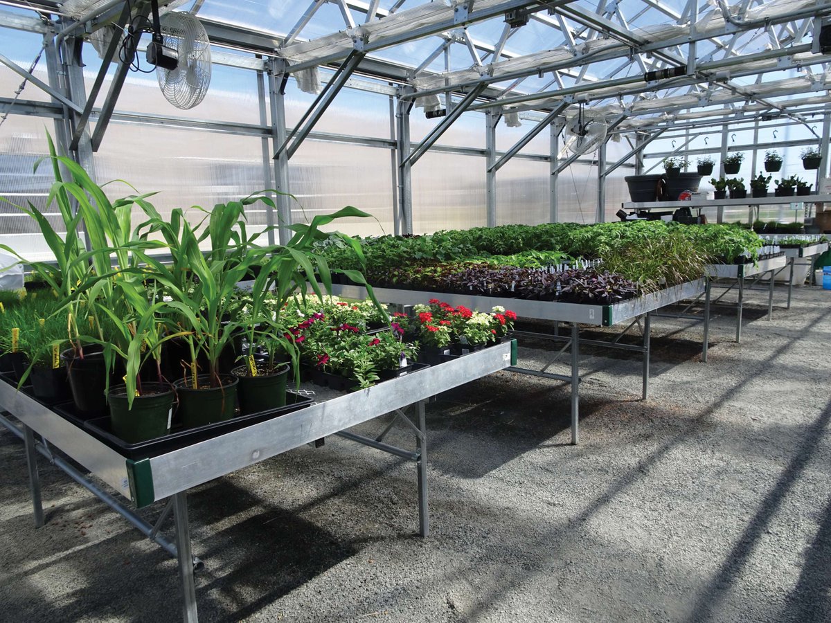 farmtek's tweet photo. Get more out of every square foot by installing greenhouse benching built for durability and flexibility. With a wide range of stationary, rolling and tiered options, FarmTek makes it easy to create a layout that supports a more efficient workflow.

https://t.co/5gDy1TaLgi https://t.co/jfrSjQCsFj