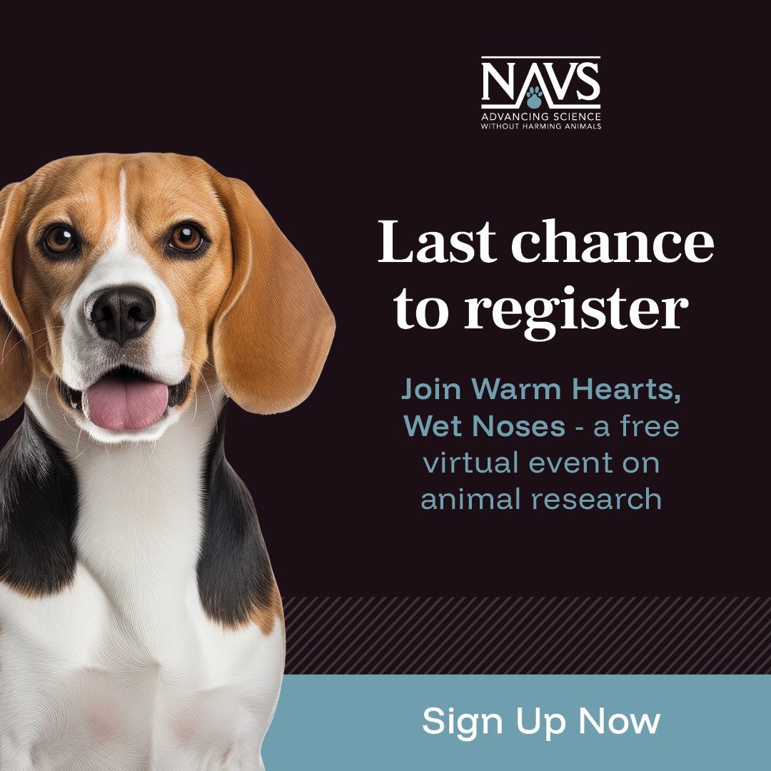 NAVS tweet media
