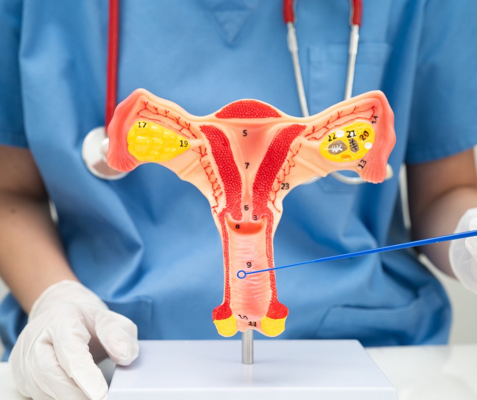 NE14science's tweet photo. #HPV causes most #cervicalcancer, which is why #vaccination and screening go hand in hand to prevent and detect disease. A new #modelingstudy from Norway suggests that high vaccination coverage could allow much longer #screening intervals.  

https://t.co/02sMB8WFAn https://t.co/d1Zmb66ho2