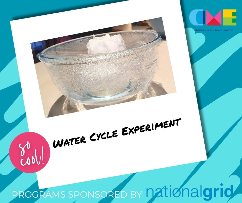 CMEaston's tweet photo. Here’s a simple and fun way to make a working indoor water cycle. With a few basic supplies, you’ll quickly turn the kitchen into a science lab!
Head to our Facebook page for the directions.  Thank you to our STEAM sponsor, @nationalgridus, for supporting CME's STEAM programming! https://t.co/yiK4vUZnB2
