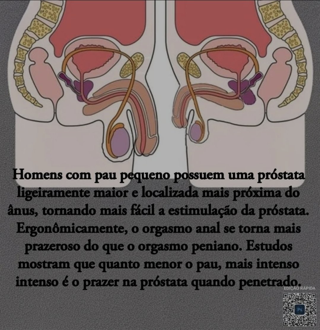 Black dominador (DOM) tweet media