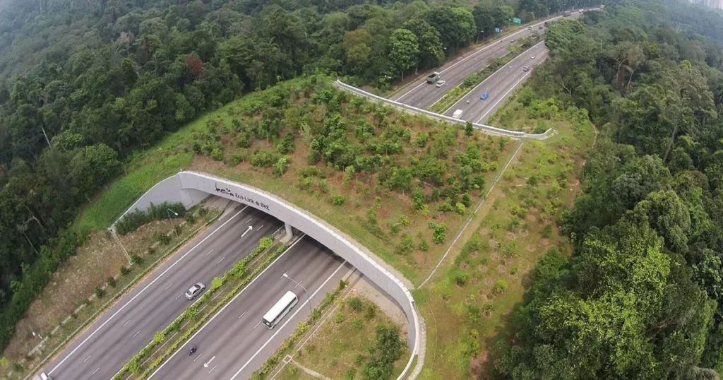zegreenweb's tweet photo. Les continuités écologiques en milieu périurbain : un enjeu clé pour la biodiversité https://t.co/i4G839CIsr https://t.co/vKKptdUGZl
