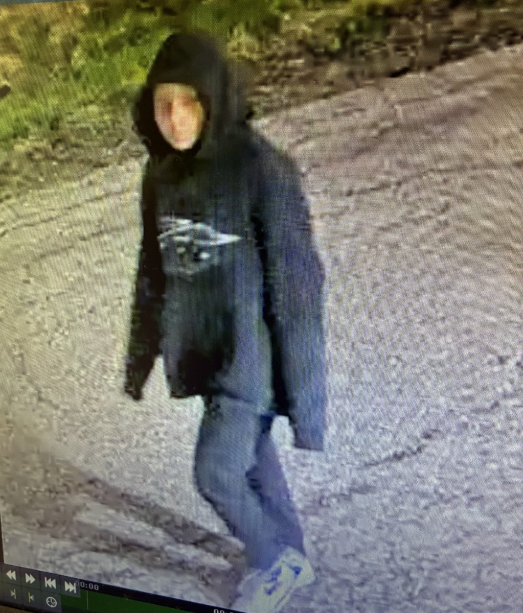 Bozeman Police Department tweet media